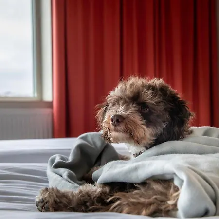 Kviberg Park & Conference غوتنبرغ