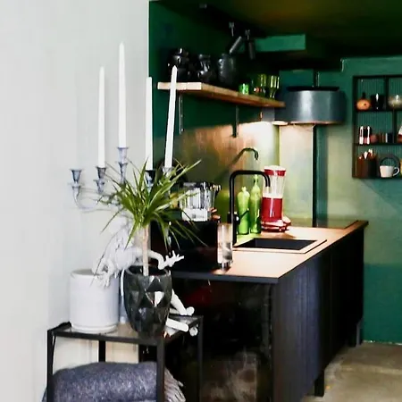 Apartment Exklusiv Och Mysig Vaning Gothenburg