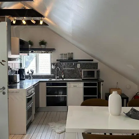 Penthouse For Workers & Familys Near Skf غوتنبرغ