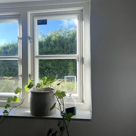 Cozy In Apartamento *