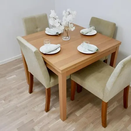Elegant & Cozy Flat Near Volvo