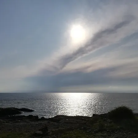 民宿 Cozy Accommodation, Single Or Bed In Dormroom 哥德堡