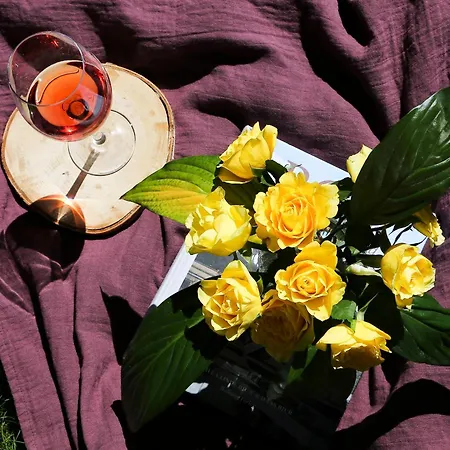 2 Bedroom Family With Balcony Free Parking Haha Homestay