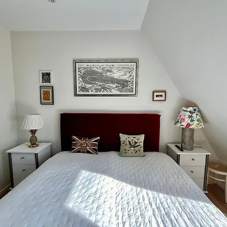 Stor Takvaning I Centrum Lejlighed *