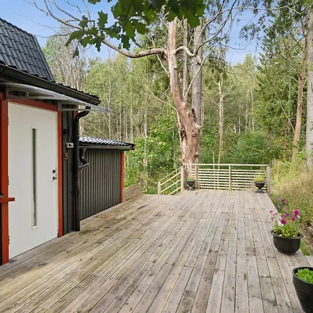 The Little Oasis In