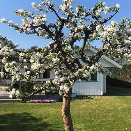 别墅 House By The Sea, Naeset 哥德堡