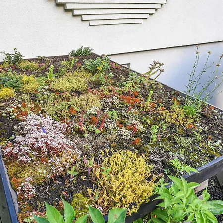 Stunning In With Sauna Holiday home *