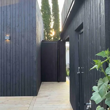 Cozy Modern