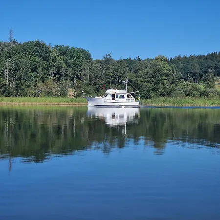 فيلة Trevligt Med Underbar Utsikt