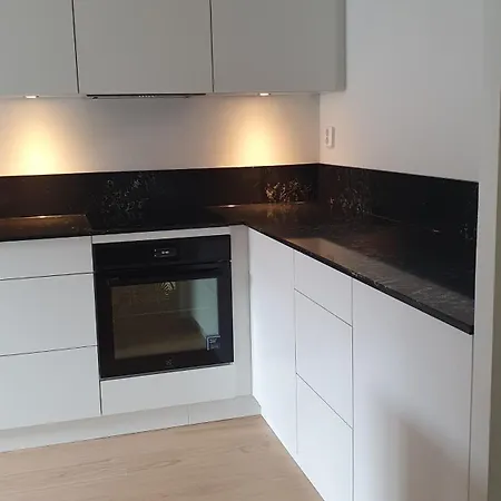 Radhus Naera 公寓 哥德堡