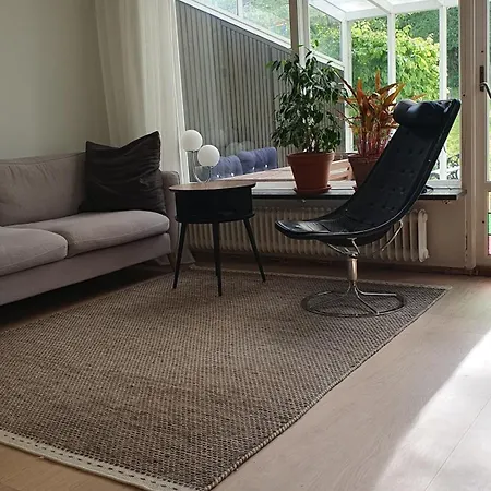Radhus Naera * 哥德堡