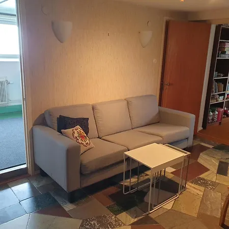 Apartment Cozy In 50s 10 Min Tram Ride To *