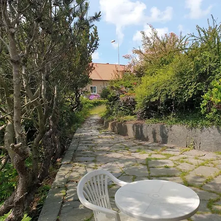 Apartment Cozy In 50s 10 Min Tram Ride To