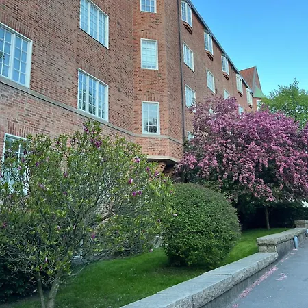 Aveny Hideaway & Elegant Apartment *