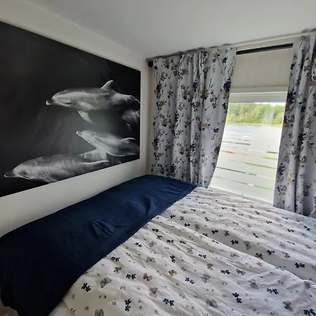 Trevligt Med Underbar Utsikt