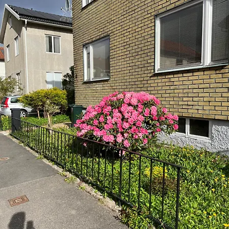 Spacious Three Bed In A Lovely Neighbourhood