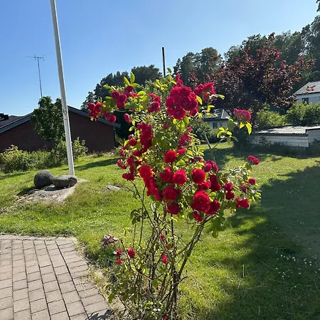 Modern Near City&nature *