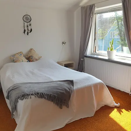 Cozy In 50s 10 Min Tram Ride To Daire Göteborg