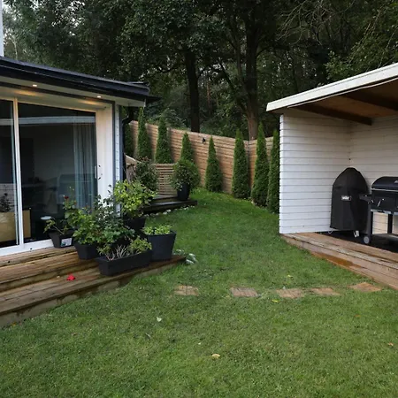 Willa Between The Trees