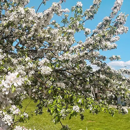 Spacious In Prázdninový dům Göteborg