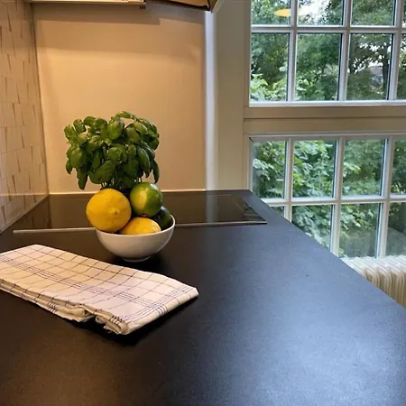 Forenom Geijersgatan - Center