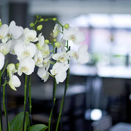 Hotell Hotel Nordic Gate 3*