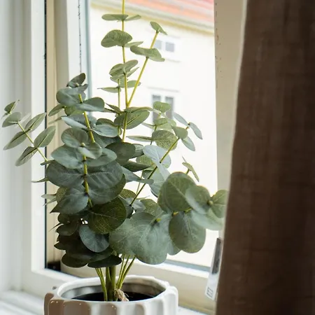 Stylish, Close To Tram & Shops Apartment Gothenburg