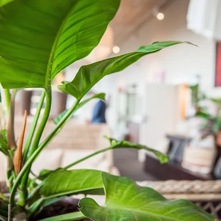 Arken & Art Garden Hotel Goteborg