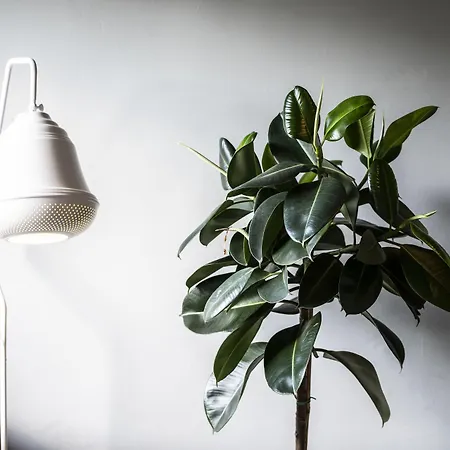 Flora 4* Гётеборг