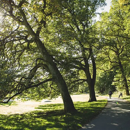 Linnéplatsens Hotell&vandrarhem *
