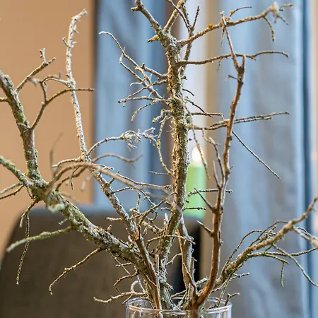 Apartment Calm Linne With Feel, Steps From Haga