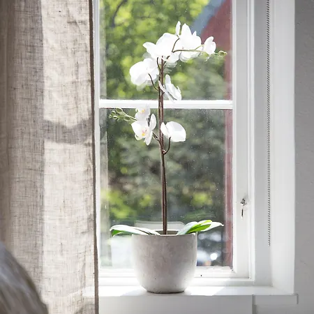 Wow, Foereningsgatan 9 3*