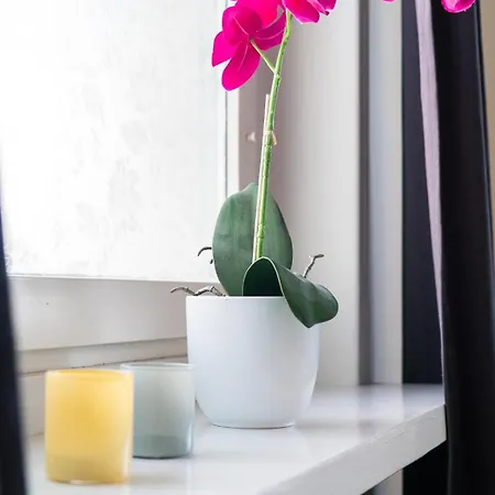 Chic 1br Center Sleeps 4 Braemaregarden