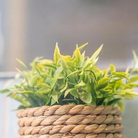 Chic 1br Center Sleeps 4 Braemaregarden Lejlighed Göteborg