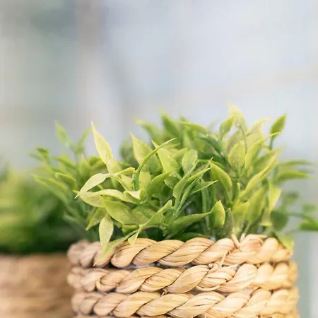 Chic 1br Center Sleeps 4 Braemaregarden * Göteborg