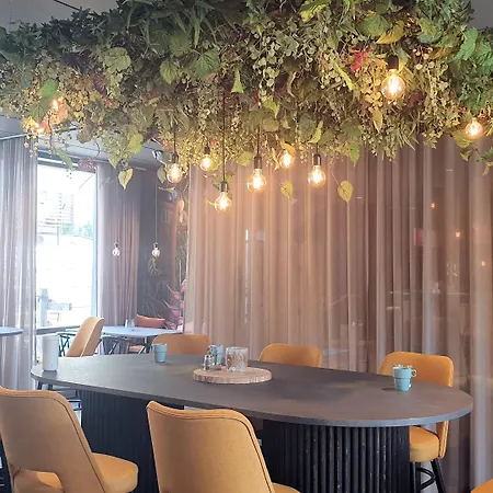 Hotell Treetop Hangout &