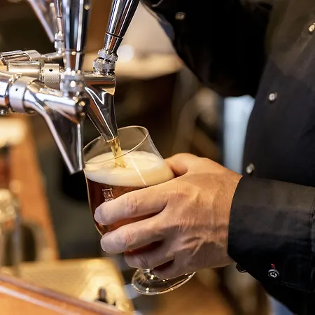 Hotell Treetop Hangout & 3*