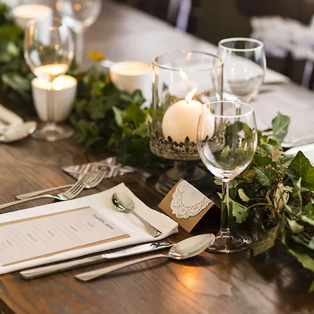 Treetop Hangout & Hotell 3*