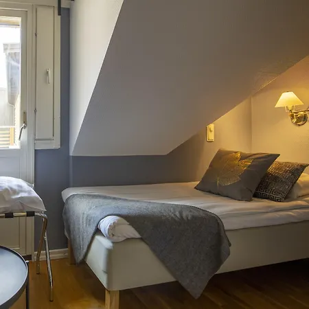 Treetop Hangout & 3*