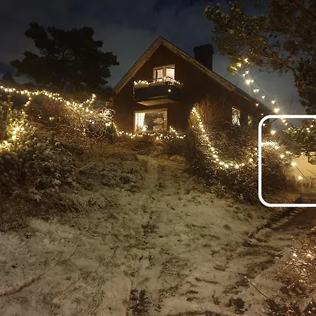 Apartment Cozy In 50s 10 Min Tram Ride To