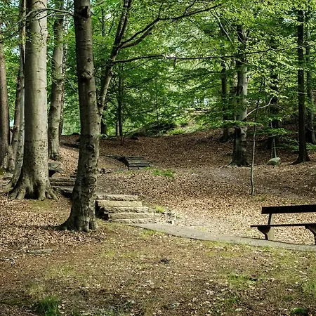 Quiet Apartment, Free Parking And Gym