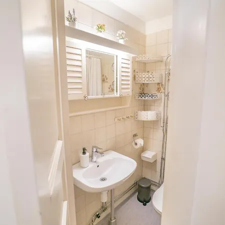 Apartment Large City-centre *