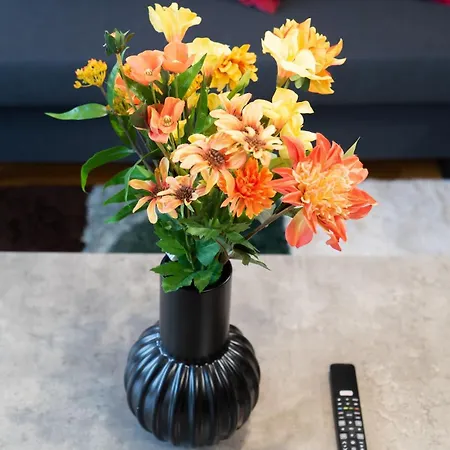 Large 2br - Scandinavian Design - Balcony