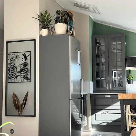 Beautiful House Close To Center