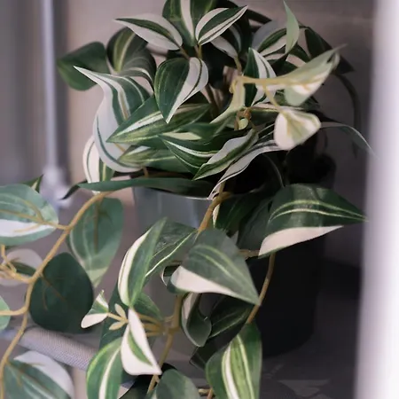 Floor With Rooftop, 1br In Great Location