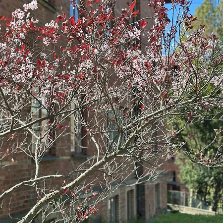 Wow, Föreningsgatan 9 Lägenhetshotell Göteborg