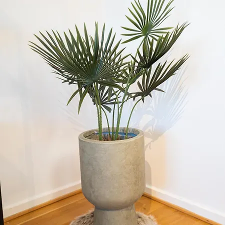 Scandi-boho 1br Calm & Well-connected Location