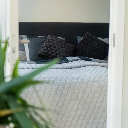Floor With Rooftop, 1br In Great Location Lägenhet