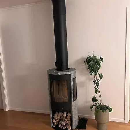 Modern Near & Nature *