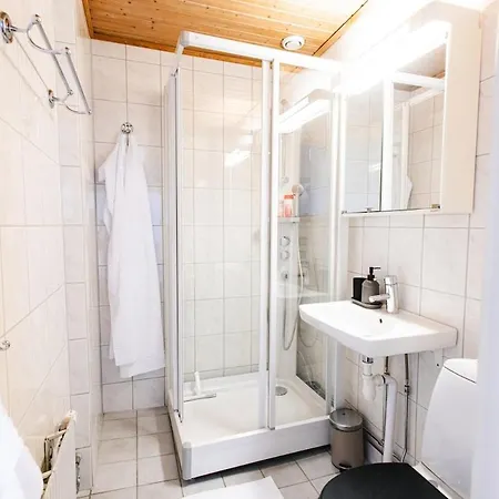 King Bed Smart Tv Coffee Wifi Sofa Bed Apartment